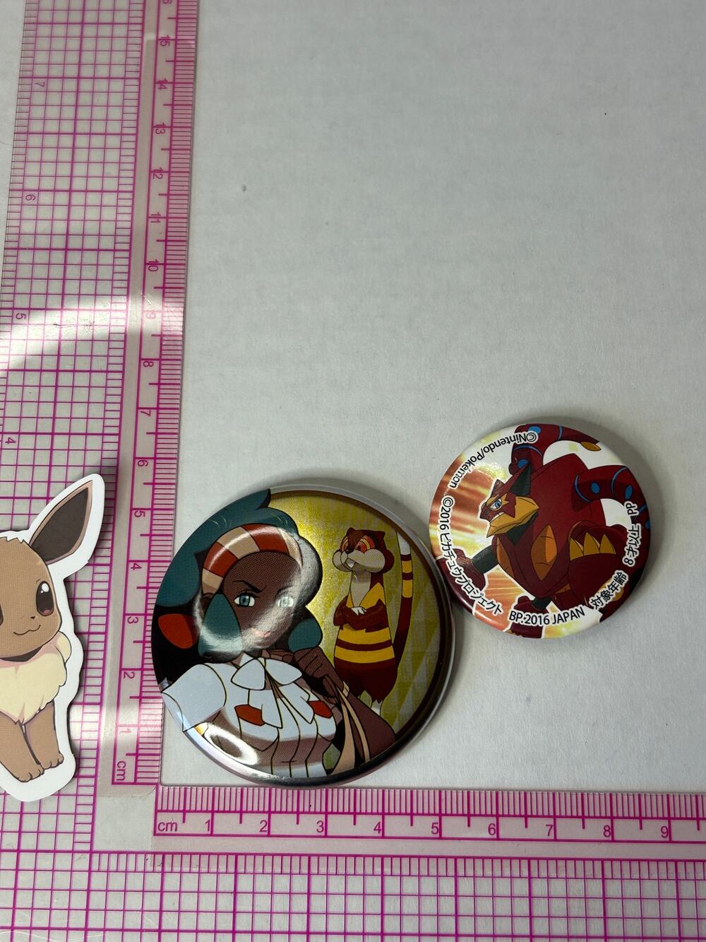Lenora Pokemon Gym Leader and Volcanion Can Badge Button Pin